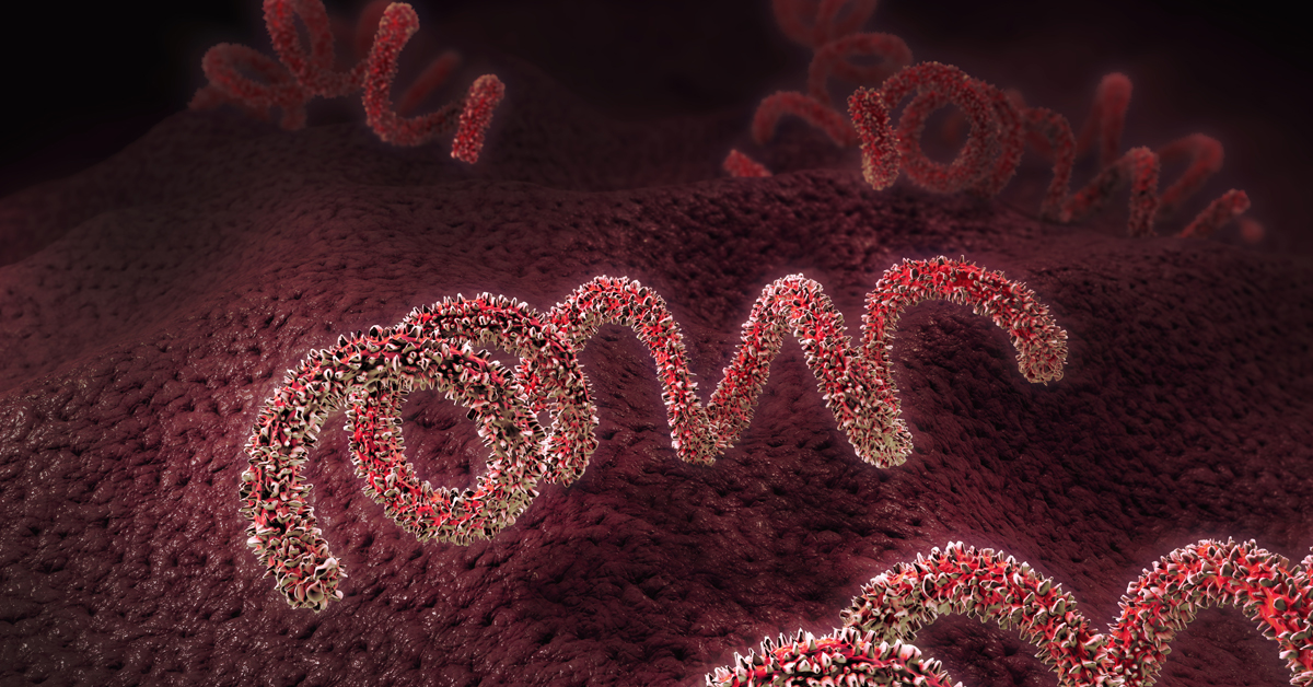 3D illustration of a syphilis pathogen.