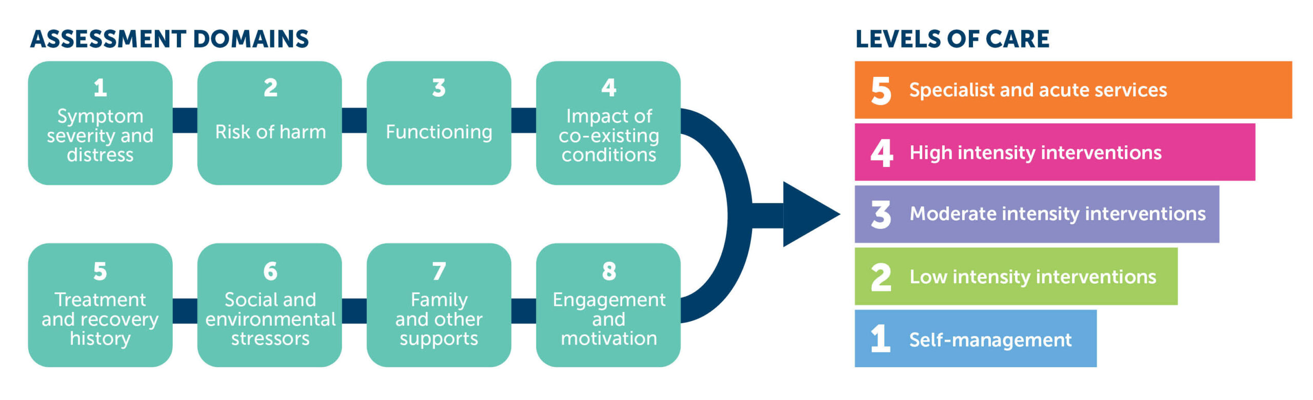 Image explaining the IAR assessment domains.