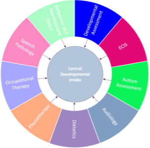 Model showing a single point of entry for paediatric developmental referrals made to Northern Health and DPV Health.