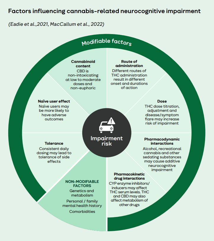 A chart detailing the factors influencing cannabis-related neurocognitive impairment